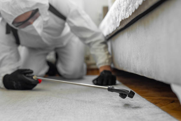 Professional Pest Control technician working in Oldham County County, KY